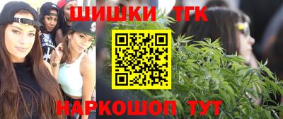 гашик Можайск