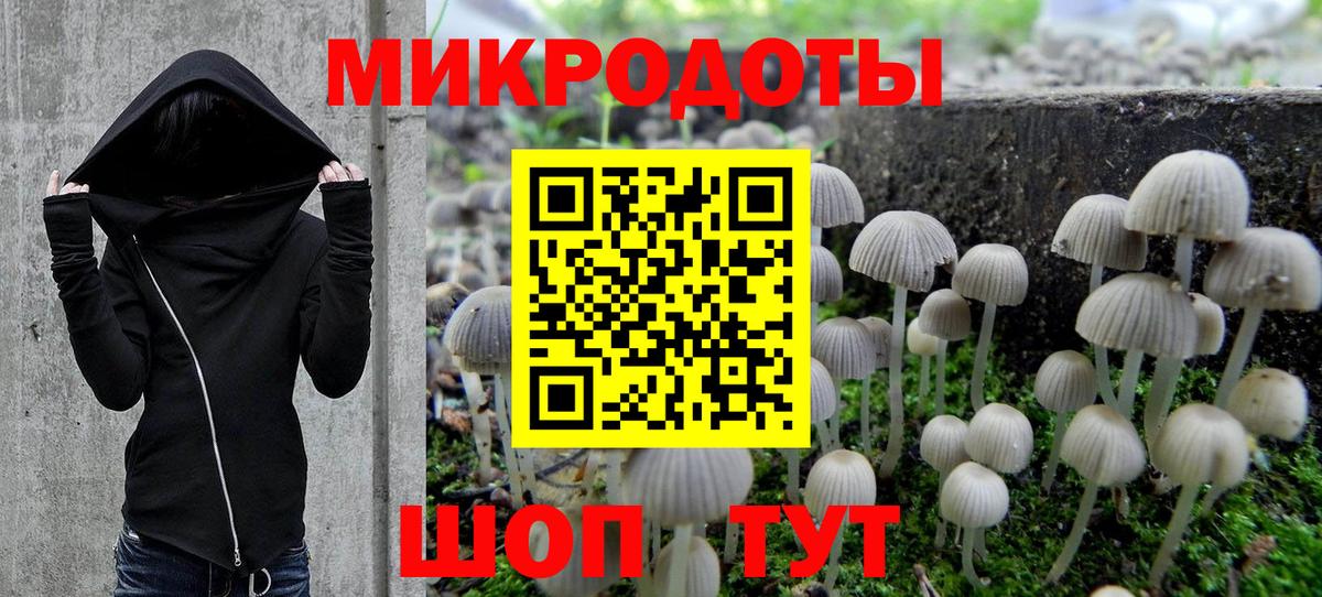Псилоцибиновые грибы GOLDEN TEACHER Тверь